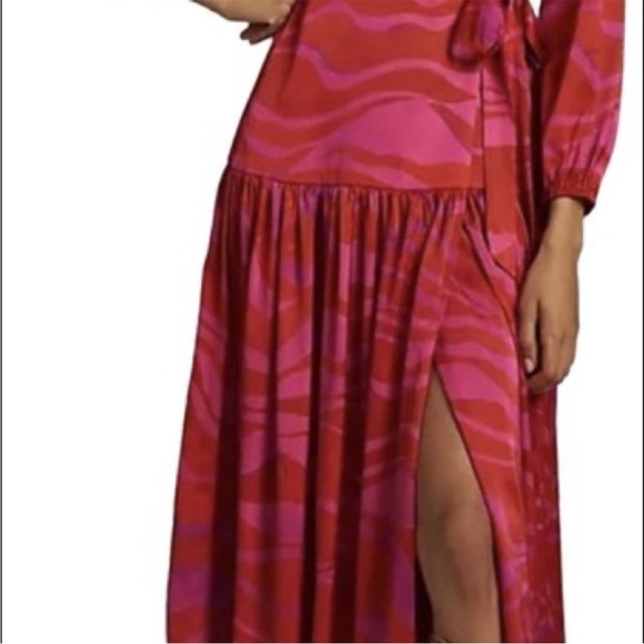 ANTHROPOLOGIE Hutch Zebra-Striped Wrap Maxi Dress - Picture 2 of 3